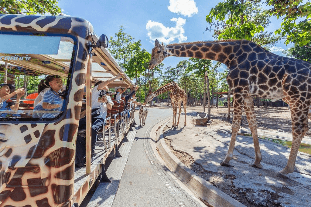 Chiang Mai Night Safari with Share Transfer