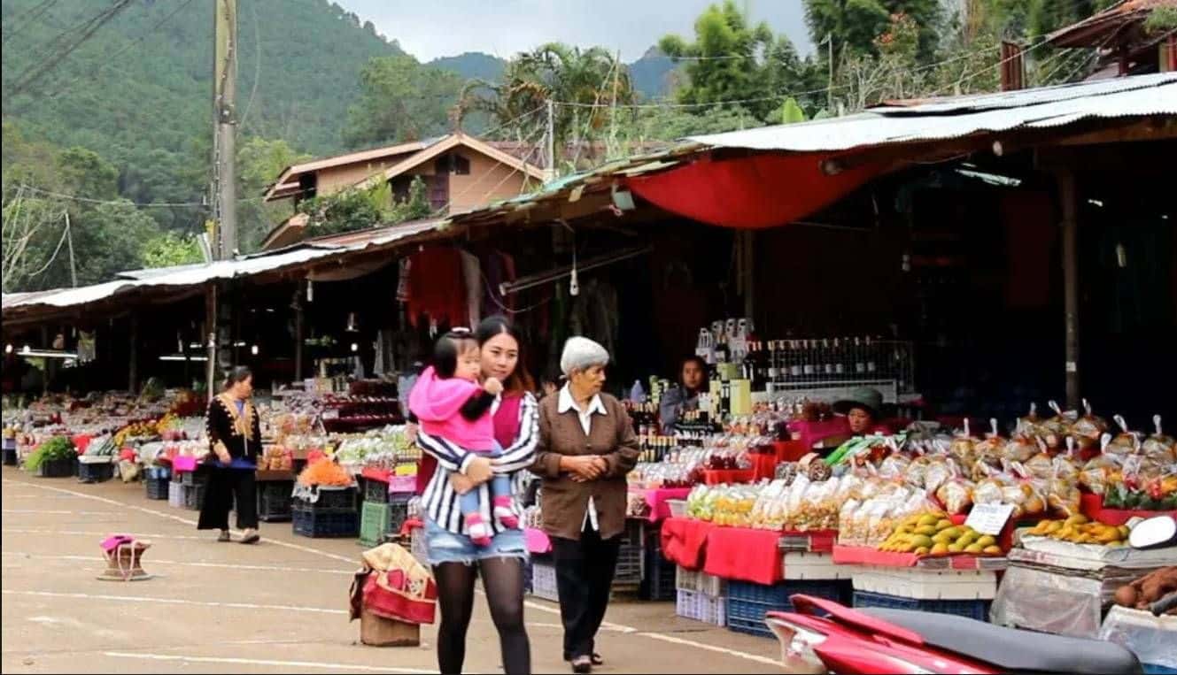 Doi Inthanon: The Highest Spot of Thailand Hiking Tour Trips and Day Trips1