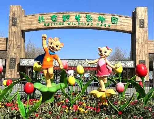 บัตรเข้าสวนสัตว์ Beijing Wildlife Park