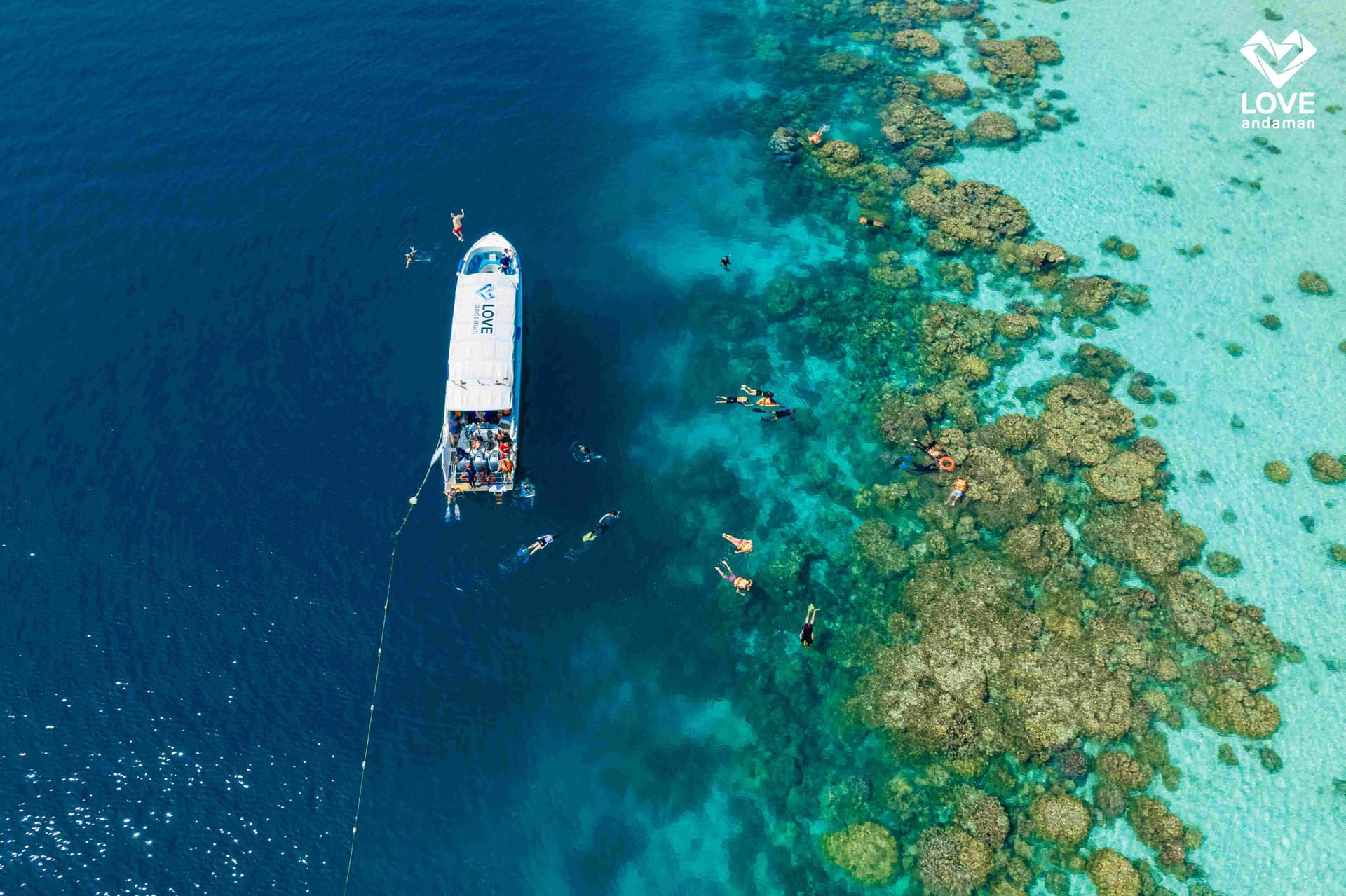 ทัวร์ดำน้ำเกาะสุรินทร์ 1 วัน ทริปเที่ยว และเดย์ทริป