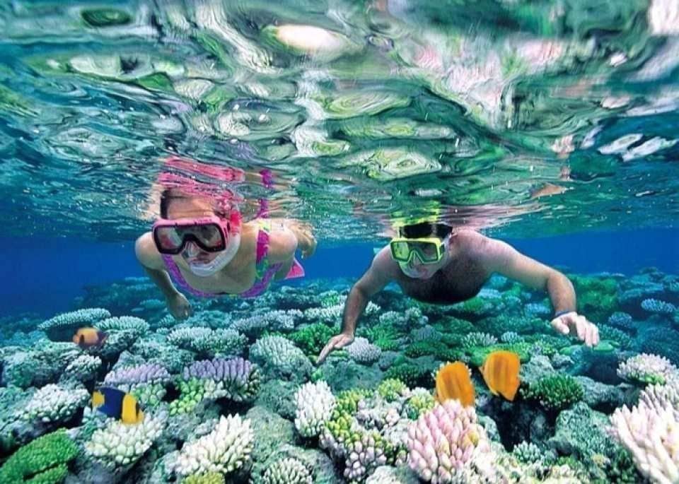 Nha Trang 3 Islands Discovery: Hon Mun, Fishing Village & Coral Bay Full-Day Tour Trips and Day Trips