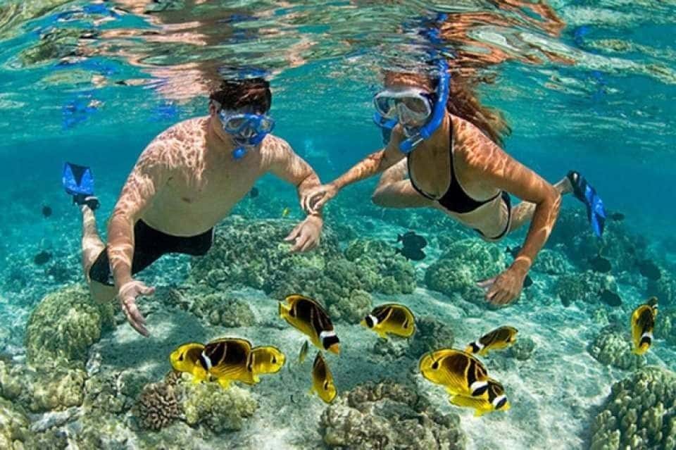 Nha Trang 3 Islands Discovery: Hon Mun, Fishing Village & Coral Bay Full-Day Tour Trips and Day Trips1