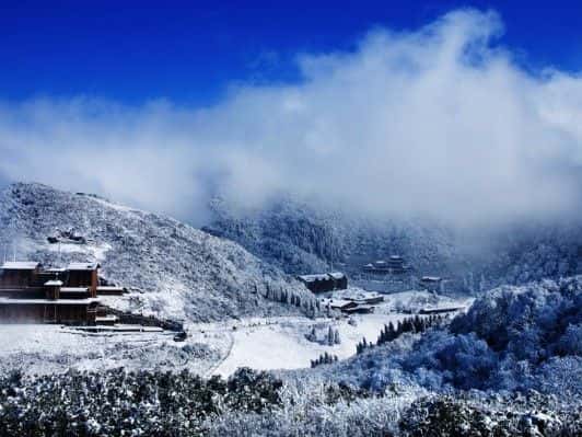 ภูเขาจินโฝซาน ฉงชิ่ง: สำรวจผืนป่าโบราณและพรรณไม้หายาก2