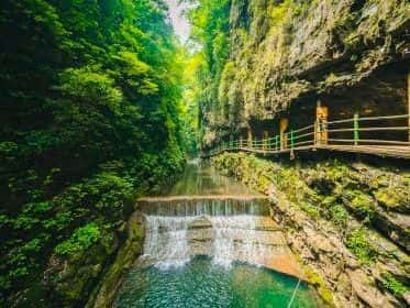 ภูเขาจินโฝซาน ฉงชิ่ง: สำรวจผืนป่าโบราณและพรรณไม้หายาก3