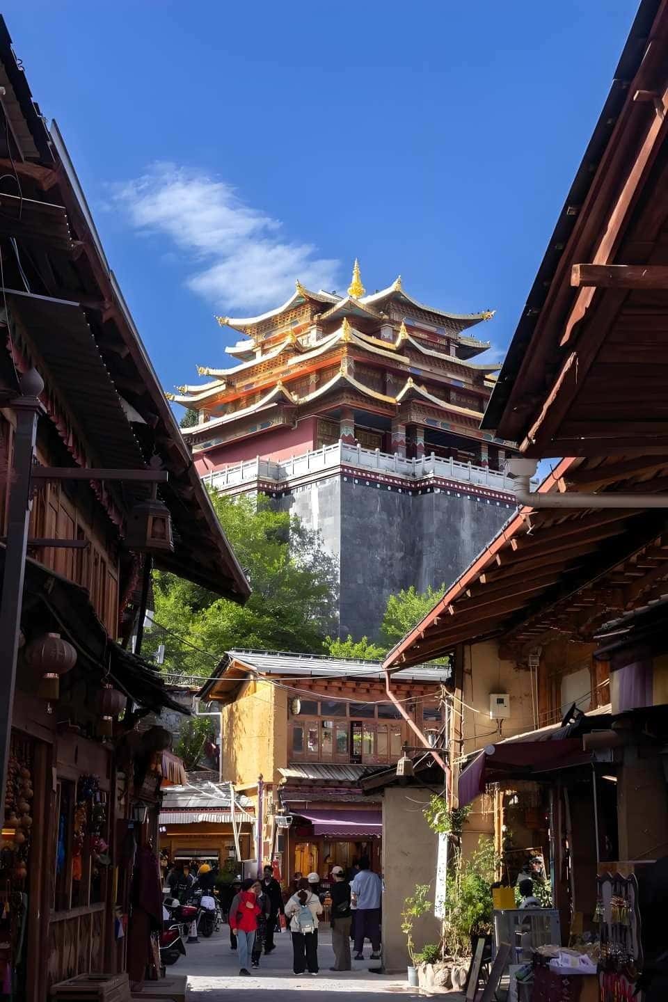 Shangri-La Top Highlights Day Trip (Round-Trip from Lijiang) Trips and Day Trips1
