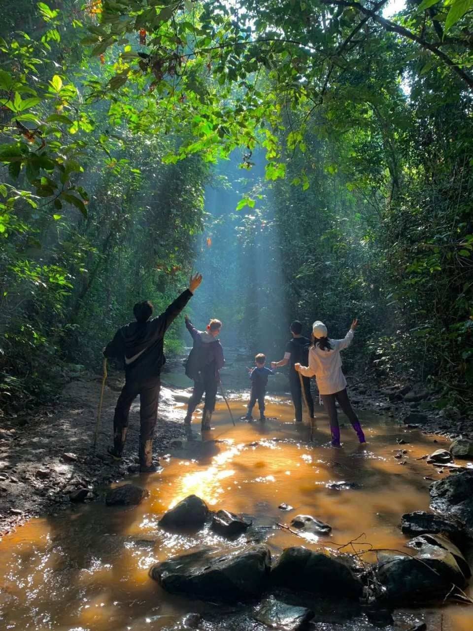 Xishuangbanna Jinuo Mountain Rainforest Trekking Experience (Includes Rainforest Meal - Excluding Transfers) Trips and Day Trips