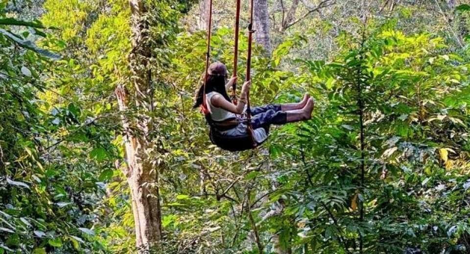 Xishuangbanna Jinuo Mountain Rainforest Trekking Experience (Includes Rainforest Meal - Excluding Transfers) Trips and Day Trips1