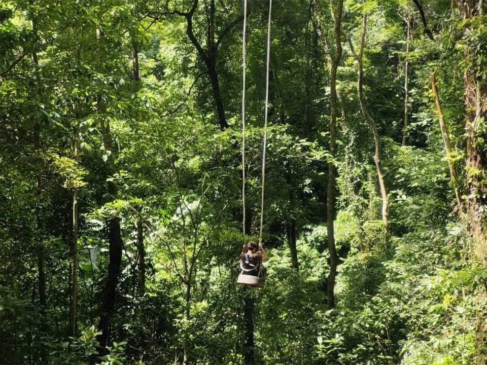 Xishuangbanna Jinuo Mountain Rainforest Trekking Experience (Includes Rainforest Meal - Excluding Transfers) Trips and Day Trips2