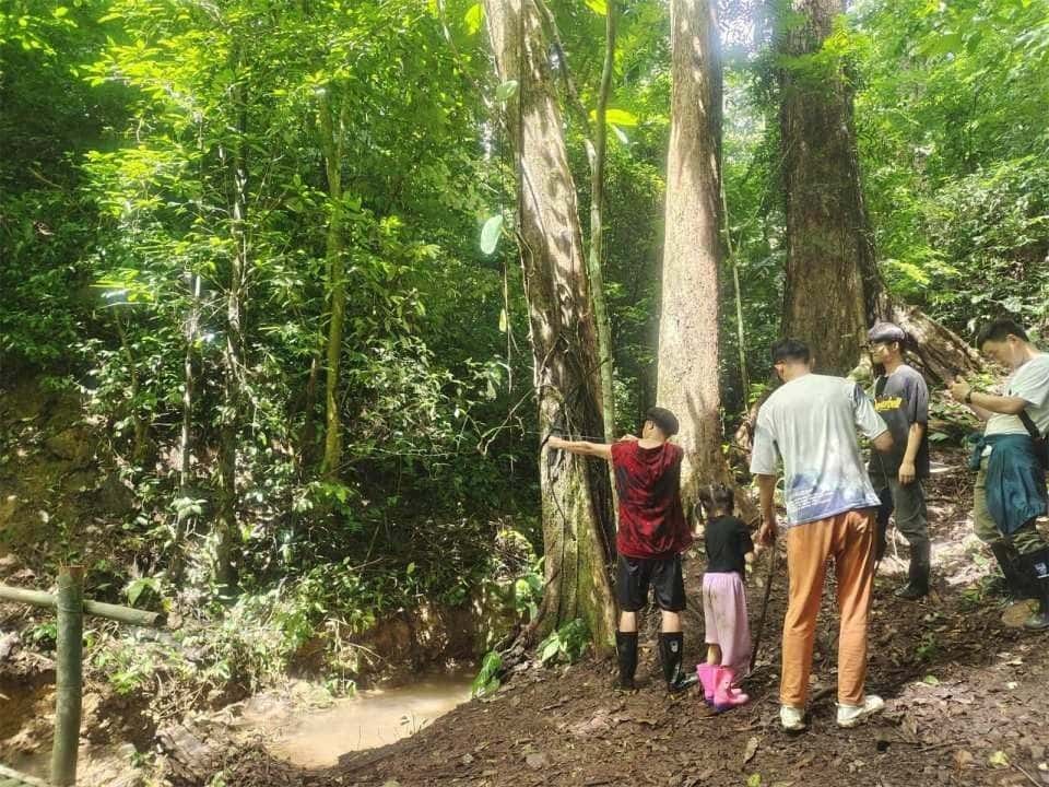 Xishuangbanna Jinuo Mountain Rainforest Trekking Experience (Includes Rainforest Meal - Excluding Transfers) Trips and Day Trips3