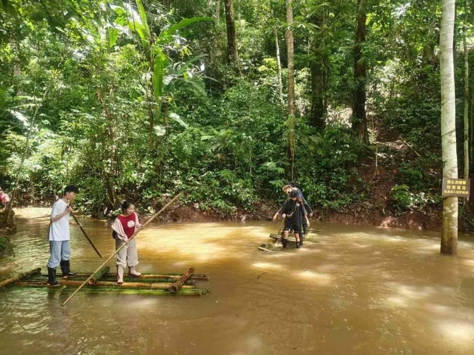 Xishuangbanna Jinuo Mountain Rainforest Trekking Experience (Includes Rainforest Meal - Excluding Transfers) Trips and Day Trips4