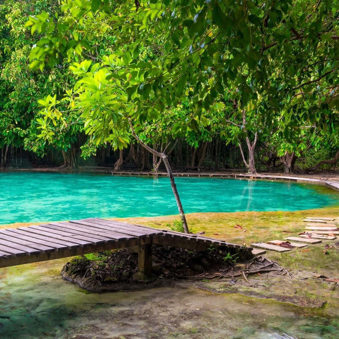 Krabi Jungle Discovery: Hot Spring, Emerald Pool, Tiger Cave Temple Trips and Day Trips3