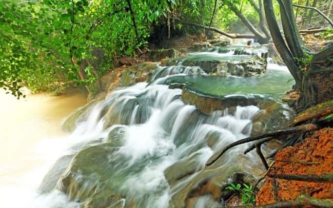 Krabi Jungle Discovery: Hot Spring, Emerald Pool, Tiger Cave Temple Trips and Day Trips2