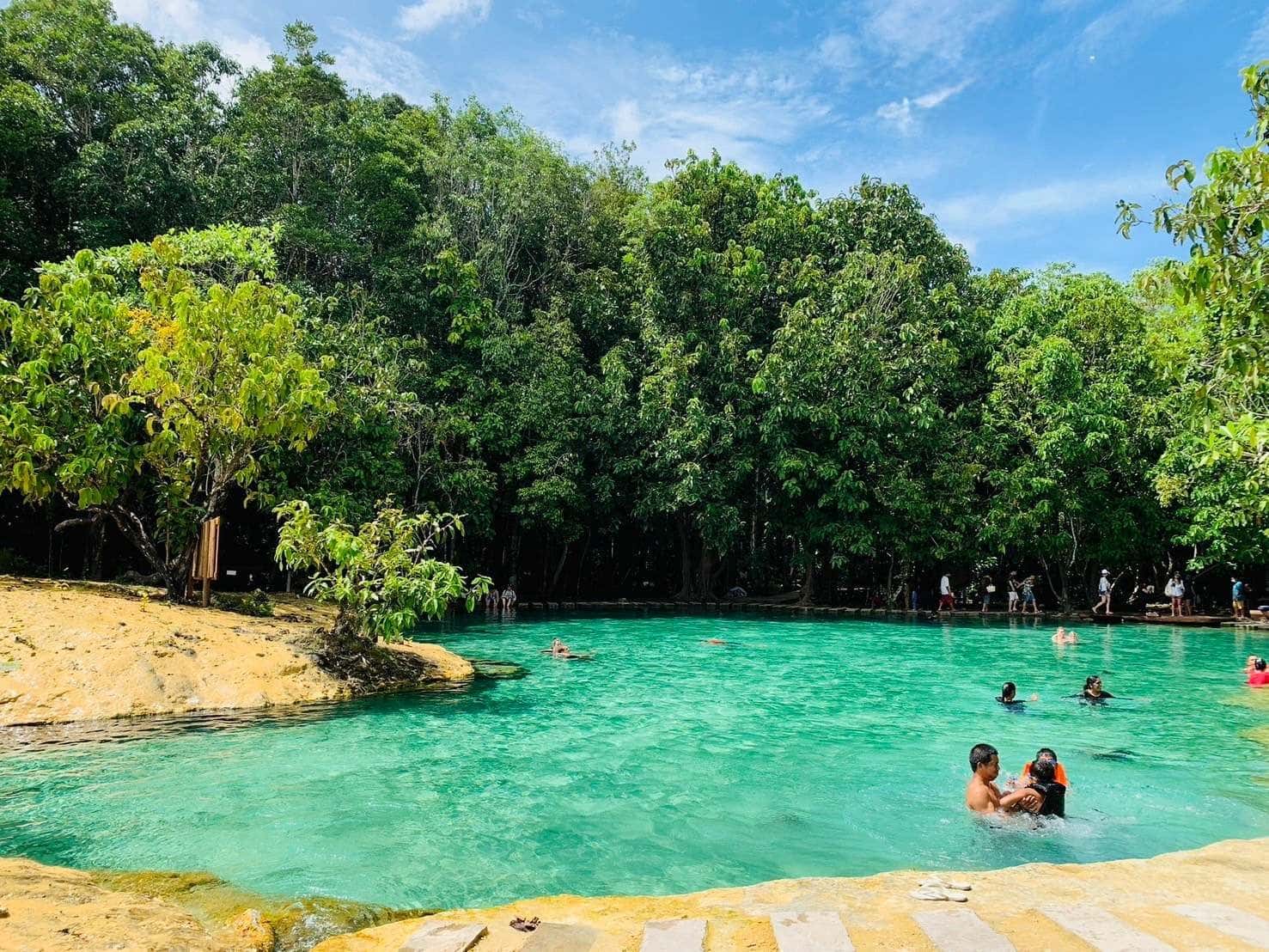 Krabi Jungle Discovery: Hot Spring, Emerald Pool, Tiger Cave Temple Trips and Day Trips1