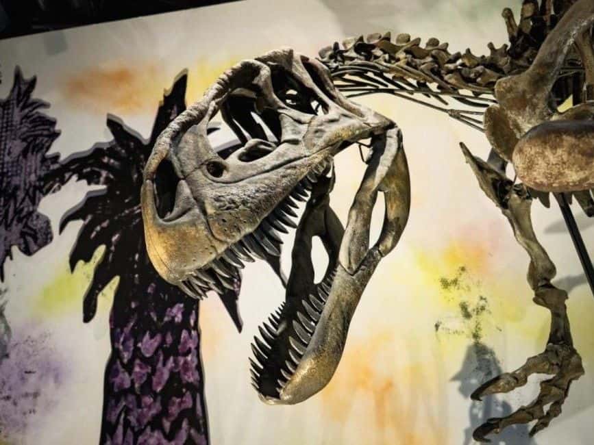 Thainosaur Museum at Asiatique The Riverfront2