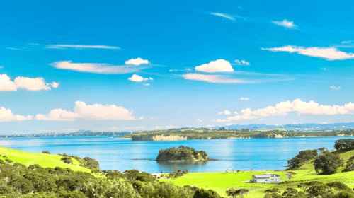 Auckland Whale & Dolphin Tour Trips and Day Trips1