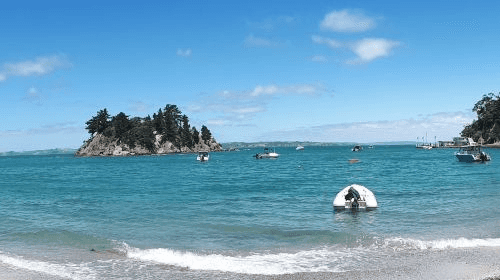 Auckland Whale & Dolphin Tour Trips and Day Trips4