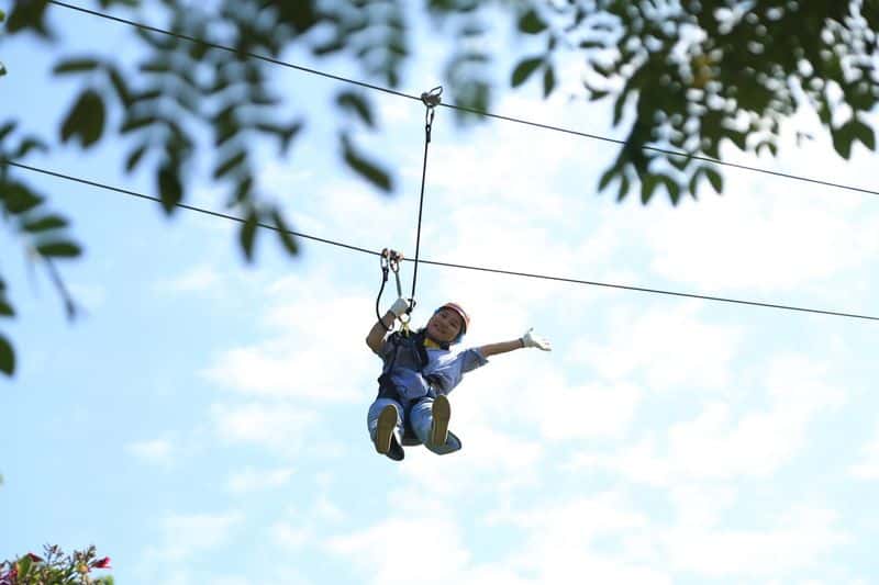 Phoenix Adventure Park1