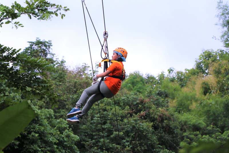 Phoenix Adventure Park3