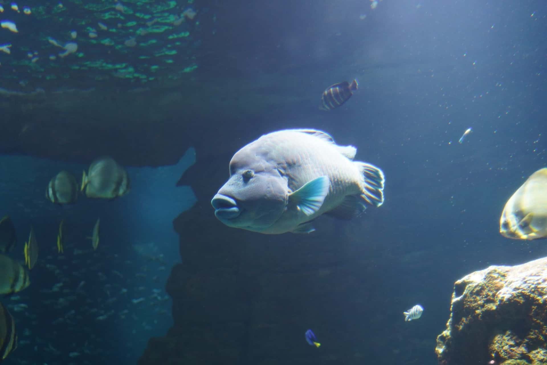 Aquarium de Paris1