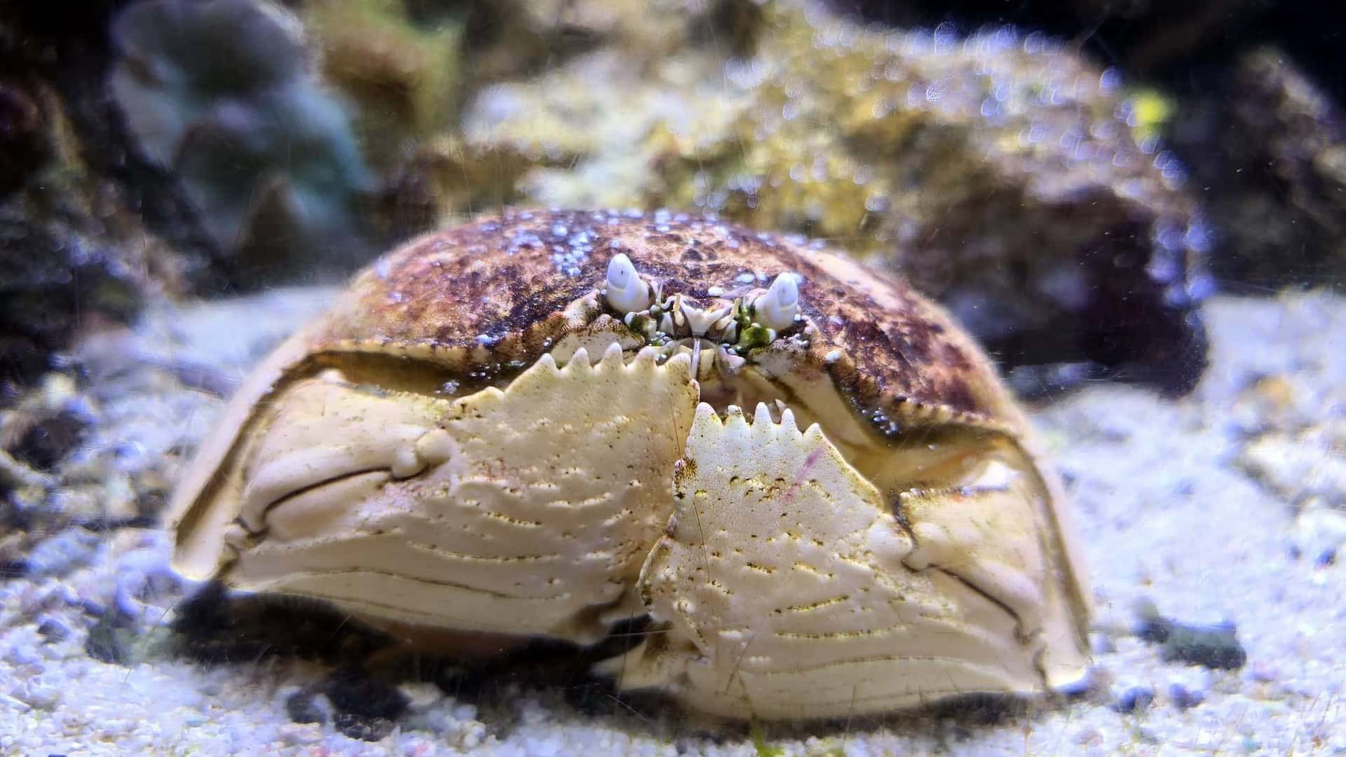 Aquarium de Paris3
