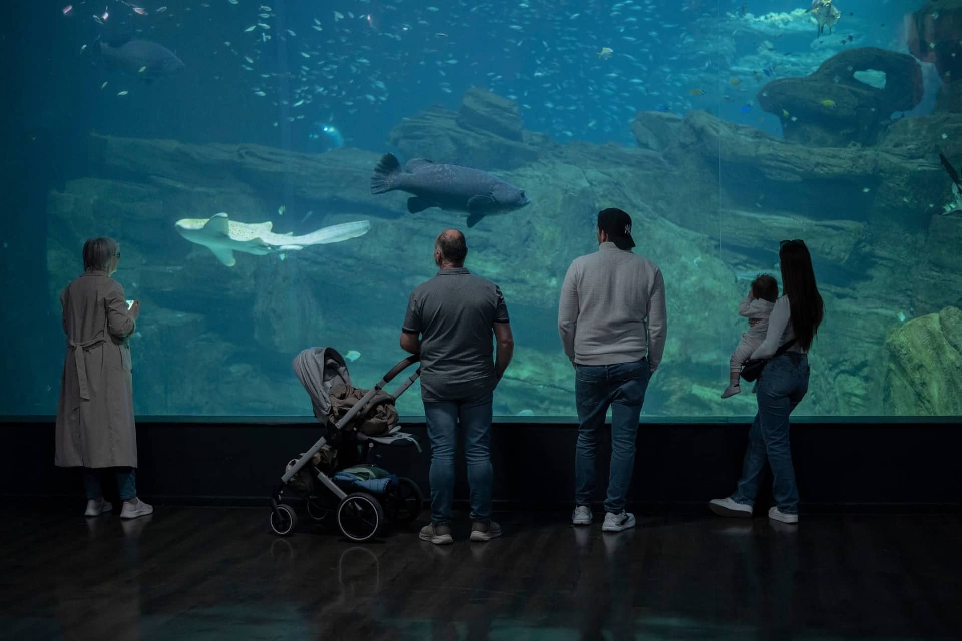 Aquarium de Paris