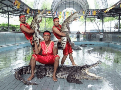 The million years Stone Park and Pattaya Crocodile Farm