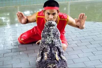 The million years Stone Park and Pattaya Crocodile Farm2