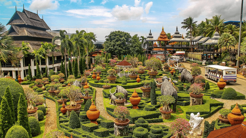 สวนนงนุช พัทยา - เฉพาะชาวต่างชาติ (Nong Nooch Tropical Garden Pattaya)2