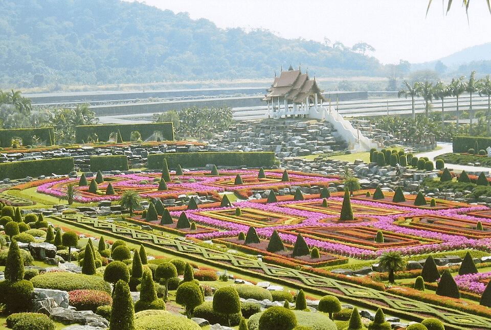 สวนนงนุช พัทยา - เฉพาะชาวต่างชาติ (Nong Nooch Tropical Garden Pattaya)4