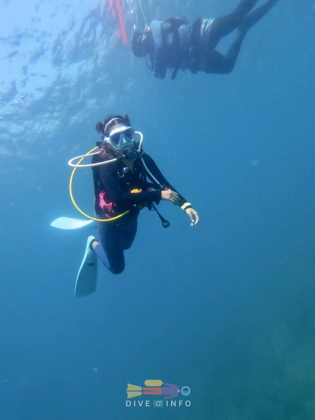 หลักสูตรต่อเนื่องลงสระครึ่งวัน + ไปทะเลแสมสารหรือพัทยา 2 วัน (ราคาไม่รวมค่าเดินทางและที่พัก) ทริปเที่ยว และเดย์ทริป4