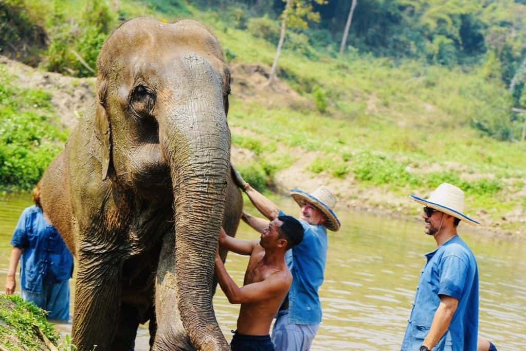 Afternoon Trip: HALF DAY ETHICAL LANNA KINGDOM ELEPHANT SANCTUARY with Pick up and Drop off Trips and Day Trips1