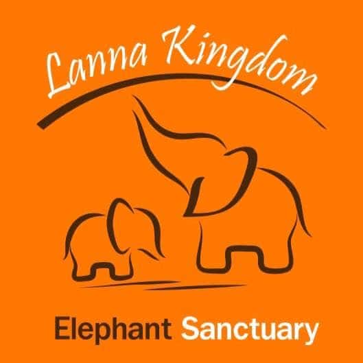 Afternoon Trip: HALF DAY ETHICAL LANNA KINGDOM ELEPHANT SANCTUARY with Pick up and Drop off Trips and Day Trips2