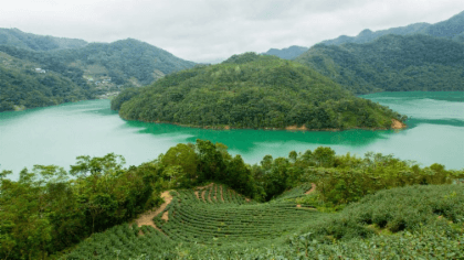 ทะเลสาบพันเกาะและไร่ชาผิงหลิน