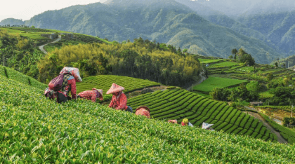 ทัวร์สำรวจอุทยานแห่งชาติเขาอาลีซาน