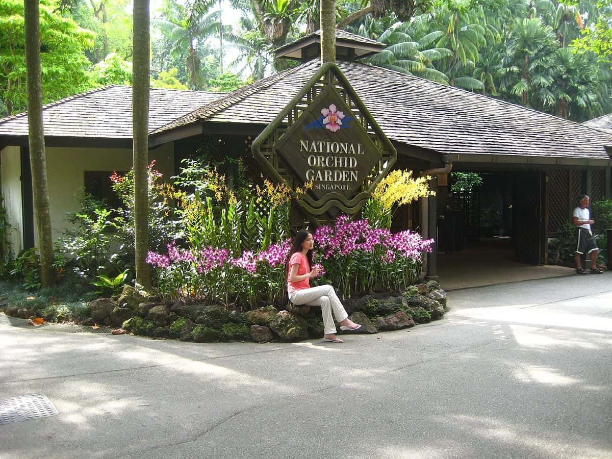 National Orchid Gardens4