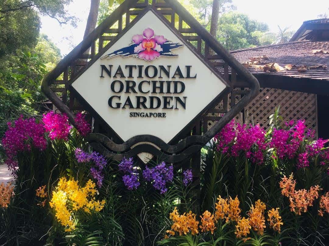 National Orchid Gardens2