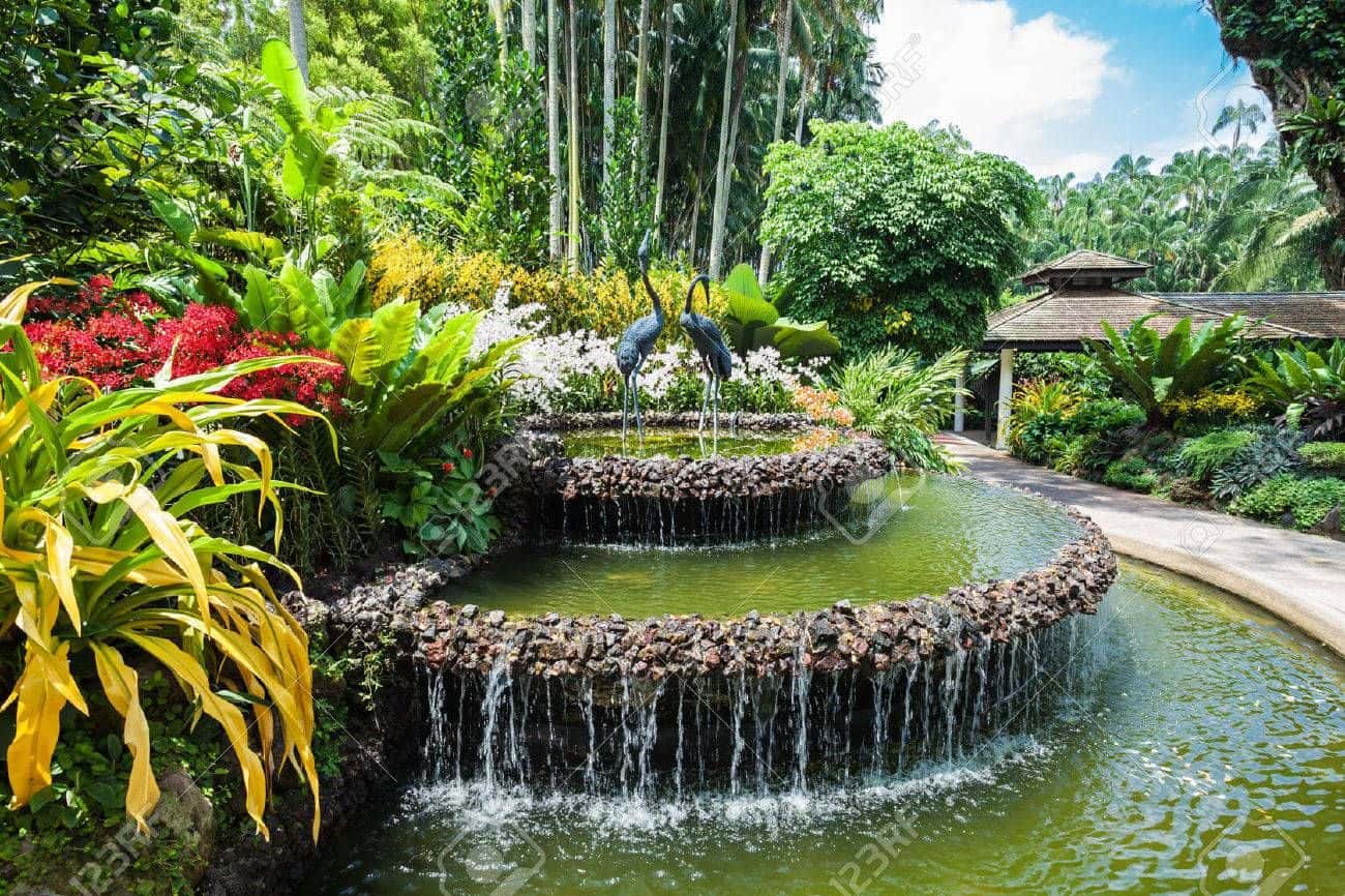 National Orchid Gardens3