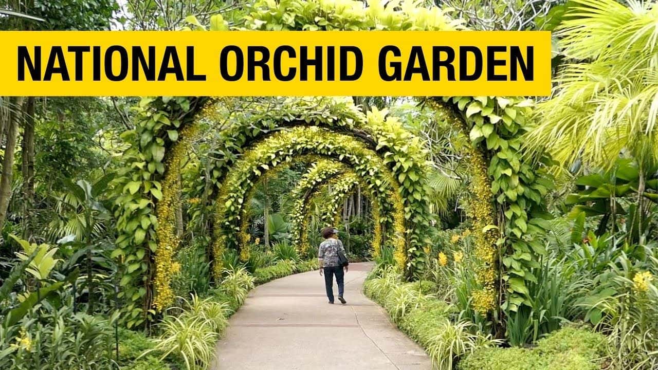 National Orchid Gardens1
