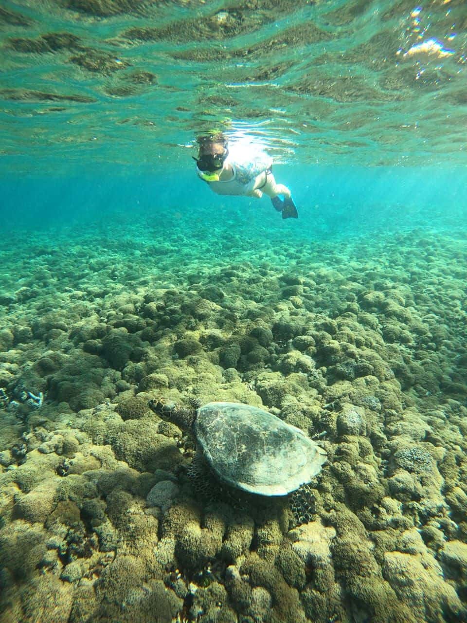 4 Hour Snorkeling by Glass Bottom Boat in the Gili Islands3