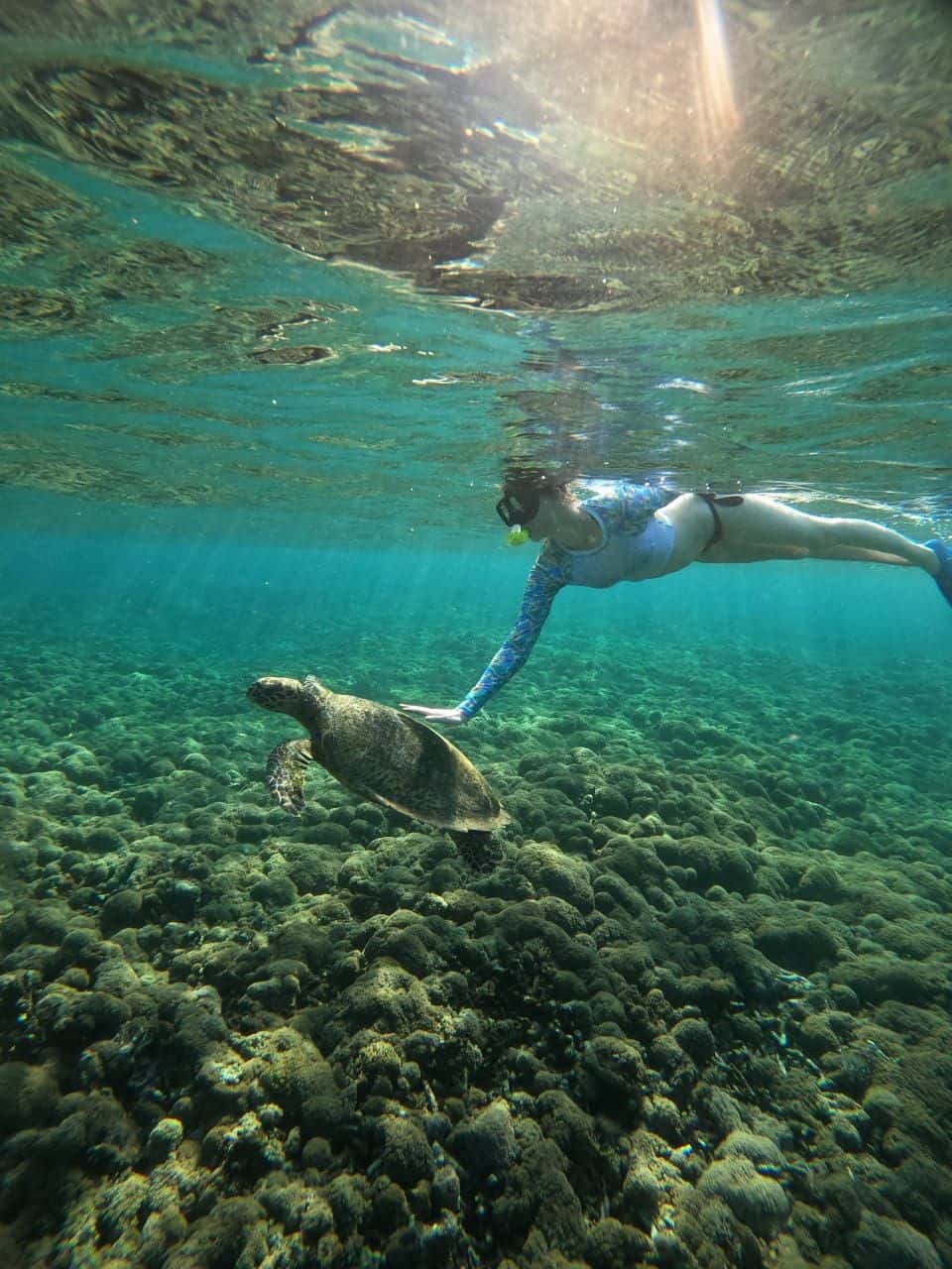 4 Hour Snorkeling by Glass Bottom Boat in the Gili Islands1