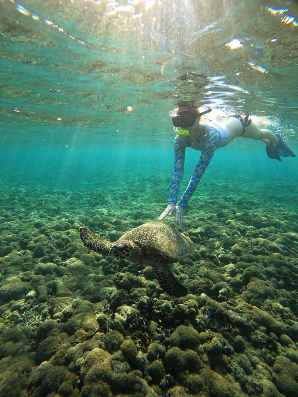 4 Hour Snorkeling by Glass Bottom Boat in the Gili Islands4