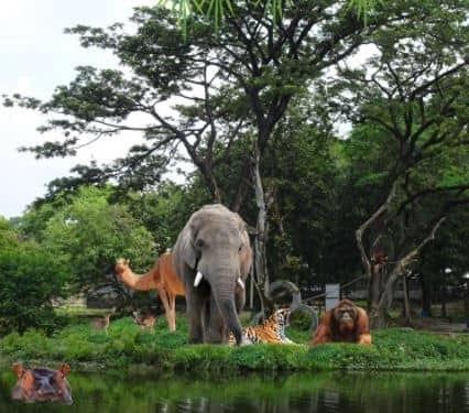 4) Tiket Group Jurug Solo Zoo