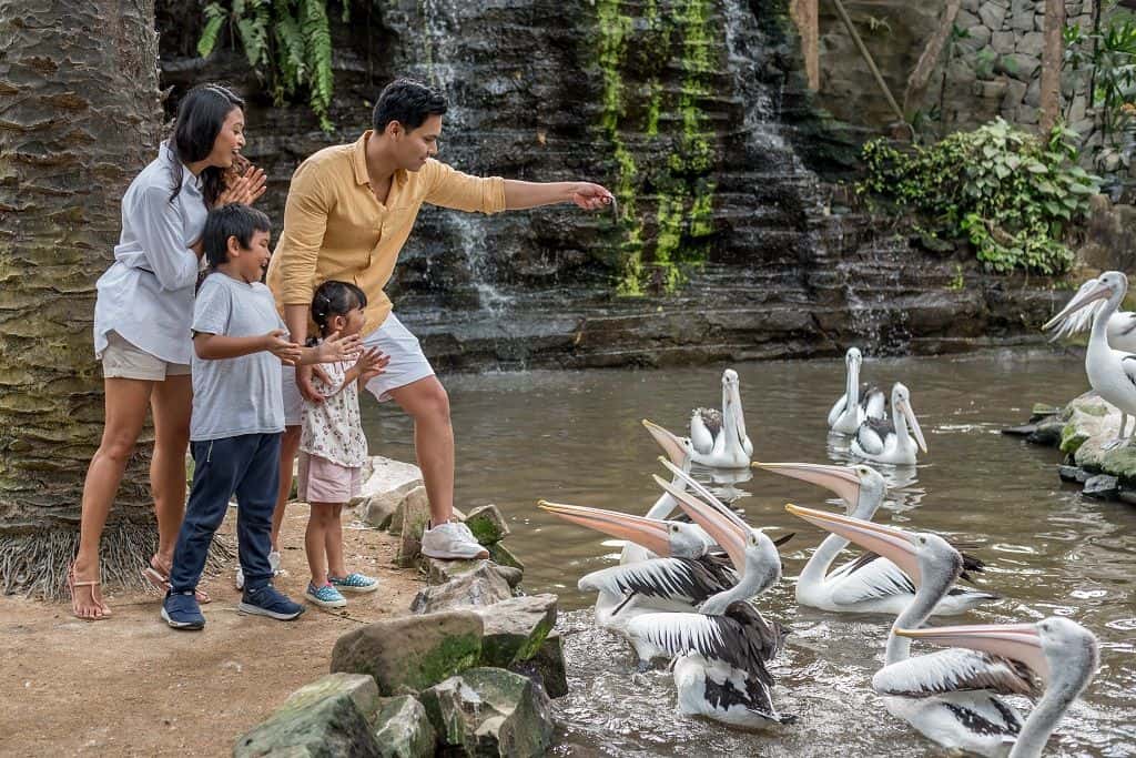 สวนสัตว์นก บาหลี4