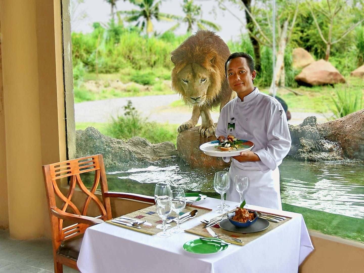 ซาฟารี ที่บาหลี สำหรับผู้ถือบัตรประชาชนที่ไม่ใช่ชาวอินโดนีเซีย1