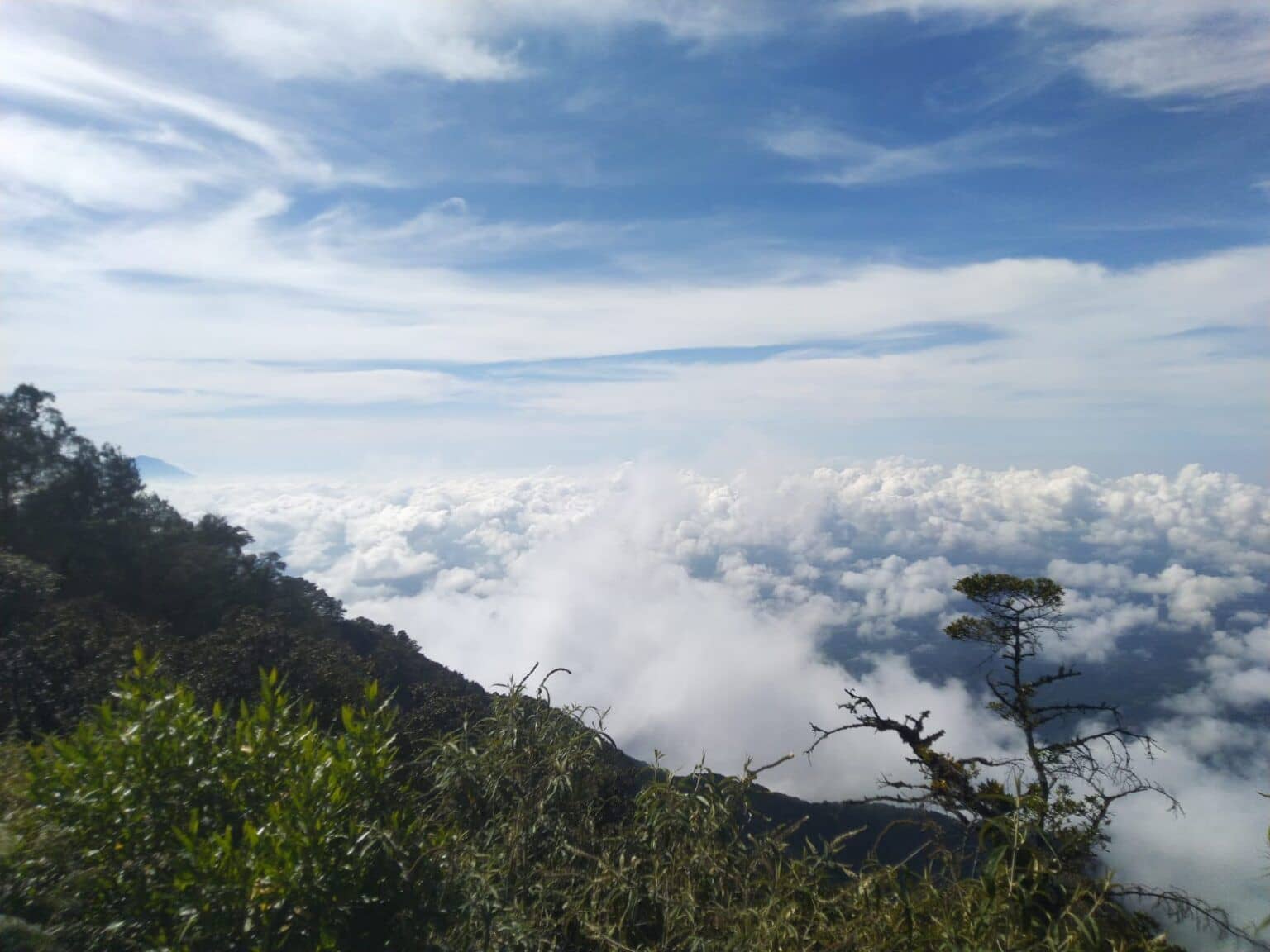 Batukaru Trek