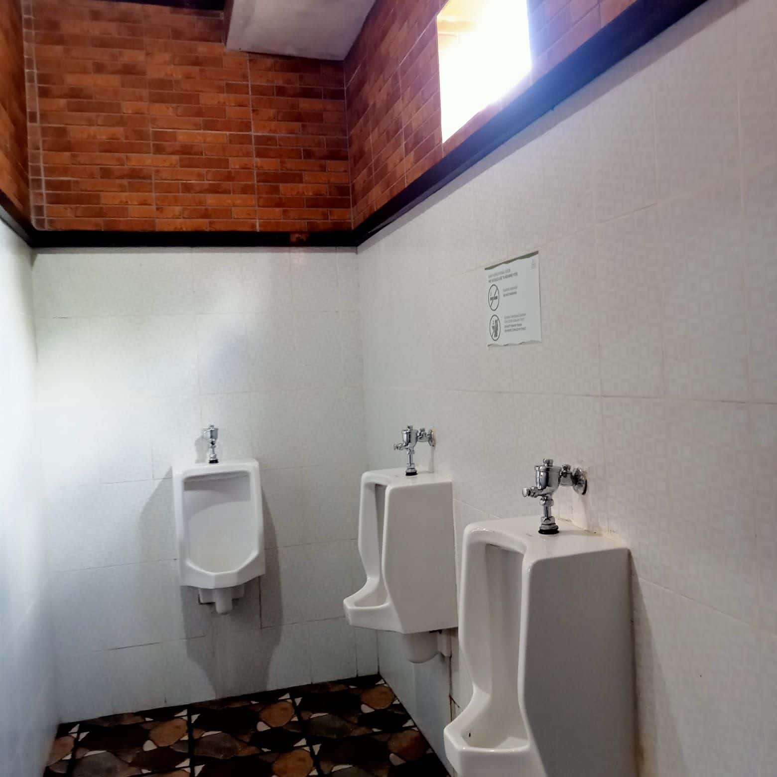 แช่น้ำพุร้อนธรรมชาติบาตูร์ ในบาหลี1