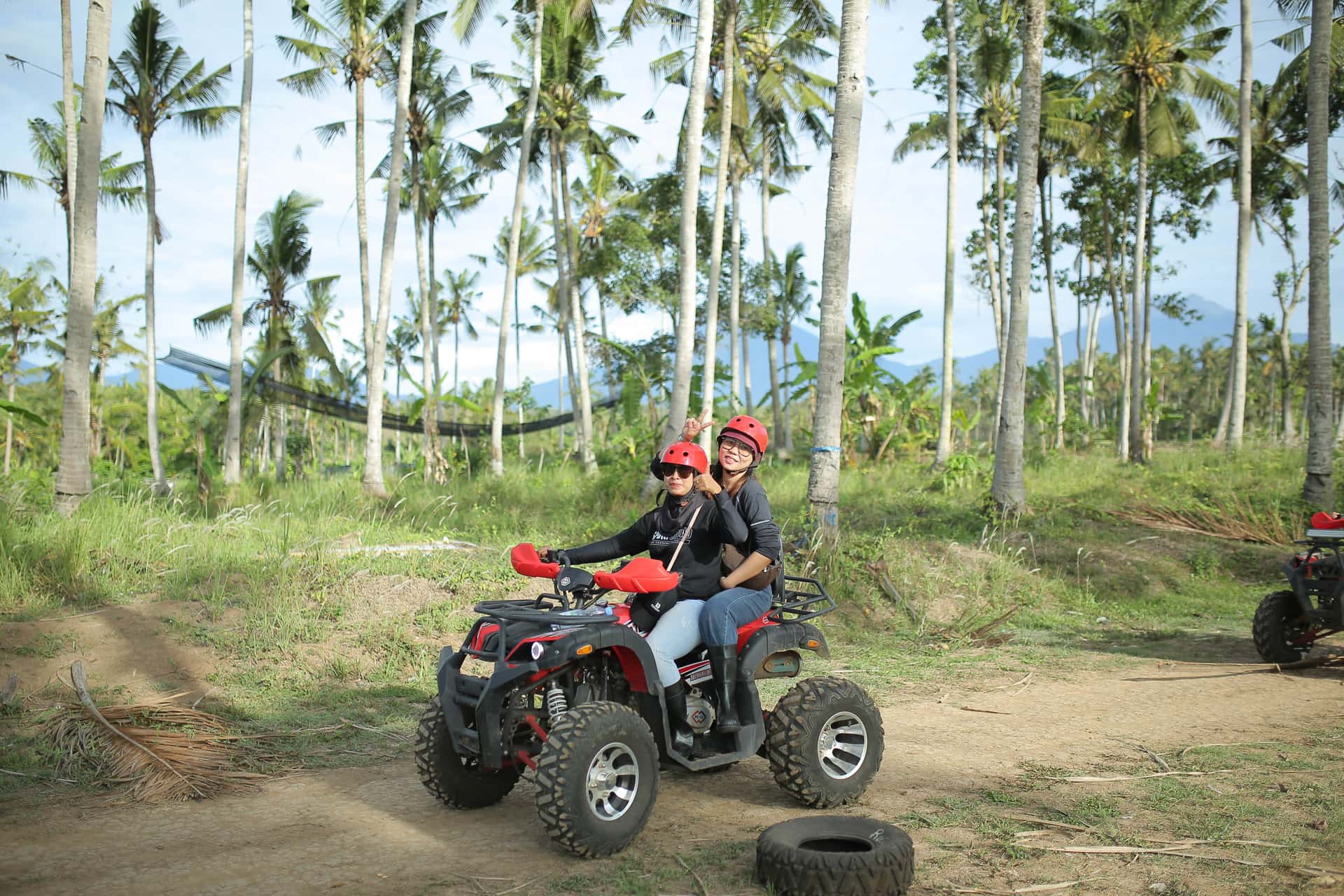 Capas Adventureland for Domestic1