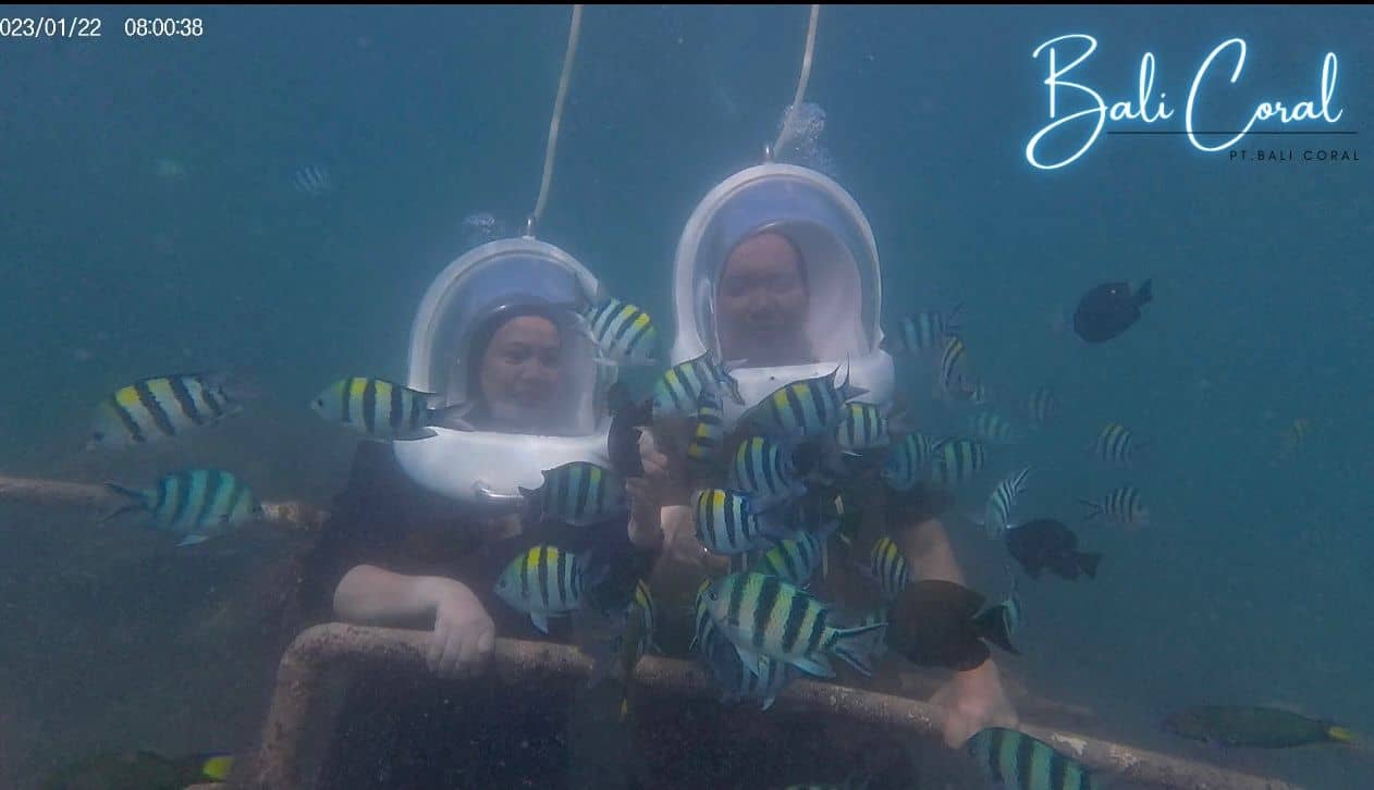 ดำน้ำที่ตันจุง เบนัว สำหรับผู้ที่ไม่มีบัตรประชาชนอินโดนีเซีย โดย Bali Coral Dive & Water Sport