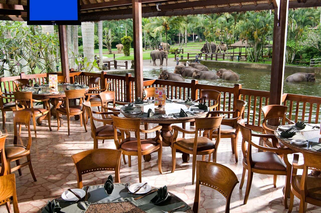 Elephant Safari Ride1