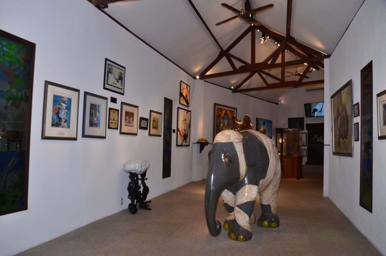Elephant Safari Ride2